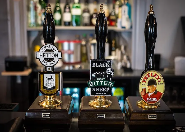 金丝海德旅馆 住宿加早餐酒店