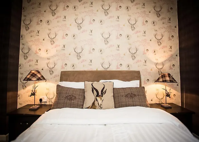 住宿加早餐酒店 金丝海德旅馆 凯特尔韦尔